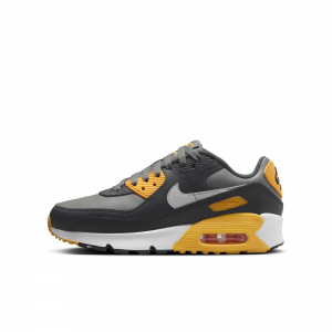 Nike Air Max 90 Older Kids' Shoe - Grey