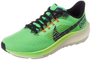 Nike Men's Pegasus 39 Scarpe Running Shoe