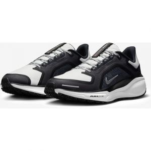 Nike Womens Pegasus 41 GORE TEX