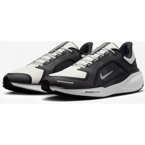 Nike Pegasus 41 GORE TEX