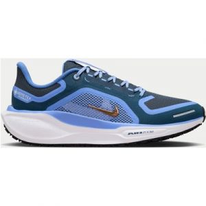 Nike Women's Pegasus 41 Gore-Tex Shoes - Cobalt Bliss/Armoury Navy/Royal Pulse/Metallic Red Bronze - UK 7.5 - Blue