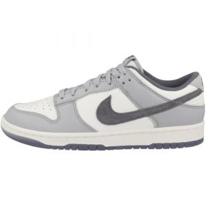 Nike Dunk Low Retro SE Code FJ4188-100 Shoes