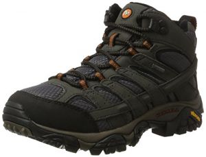 Merrell Women's Moab 2 Mid GTX Waterproof Walking Shoe