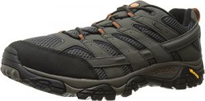 Merrell Men's Moab 2 Waterproof Hiking Shoe