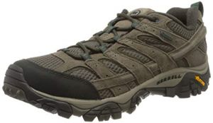 Merrell Men's Moab 2 Leather GTX Waterproof Walking Shoe