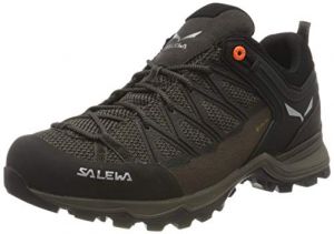 SALEWA Ms Mtn Trainer Lite Gtx