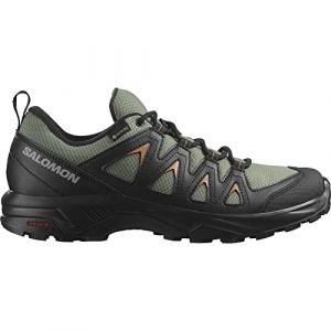 Salomon X Braze Gore-Tex Men's Hiking Waterproof Shoes