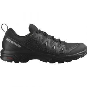 SALOMON Men's X Braze Gore-Tex Hiking Shoe