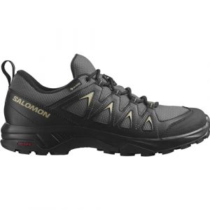 Salomon Men's X Braze Gore-Tex Outdoor