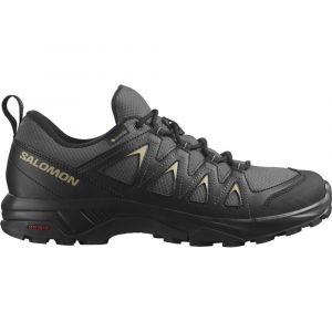 Salomon X Braze Goretex Hiking Shoes