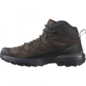 Salomon Men's X Ultra 360 Leather Mid Gore-Tex Walking Shoe