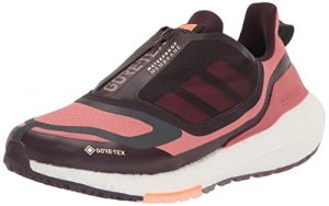 adidas Women's Ultraboost 22 GTX Running Shoe