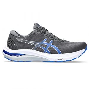 ASICS Men's GT-2000 11