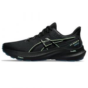 ASICS Men's GT-2000 12 GTX Sneaker