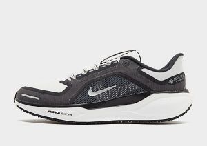 Nike Pegasus 41 GORE-TEX