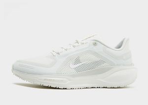 Nike Pegasus 41 GORE-TEX