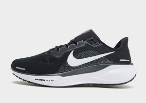 Nike Pegasus 41