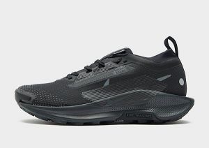 Nike Pegasus Trail 5 GORE-TEX Women's