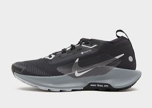 Nike Pegasus Trail 5 GORE-TEX Women's