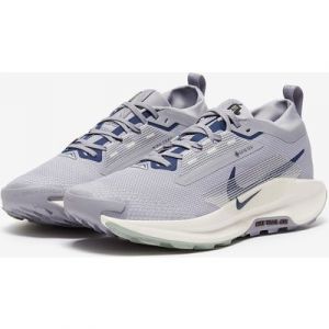 Nike Pegasus Trail 5 GORE TEX