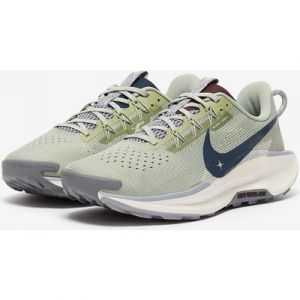 Nike Pegasus Trail 5