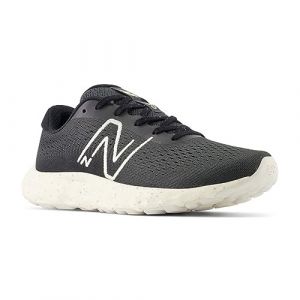 New Balance Women's 520 V8 Sneaker