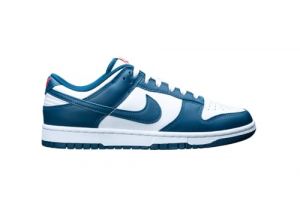 NIKE Men's Dunk Low Retro Sneaker