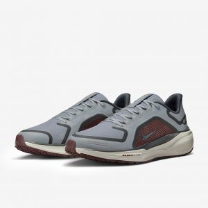 Nike Pegasus 41 GORE TEX