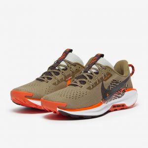 Nike Pegasus Trail 5
