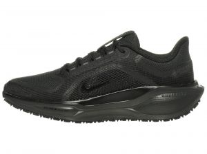 Nike Pegasus 41 GTX Women's Shoes Black/Black