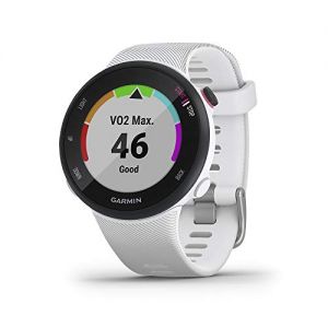 Garmin [ Renewed ] Forerunner 45S Small Easy to Use Lightweight GPS Running Watch