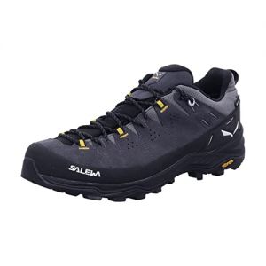 Salewa Men's Alp Trainer 2 GTX M Hiking Shoes