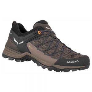 Salewa Mtn Trainer Lite Goretex Hiking Shoes Brown,Black Man
