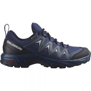 Salomon X Braze Goretex Hiking Shoes Blue Woman
