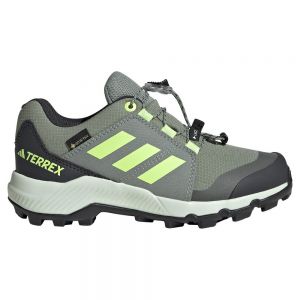Adidas Terrex Goretex Hiking Shoes Grey