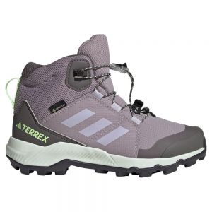 Adidas Terrex Mid Goretex Hiking Shoes Grey