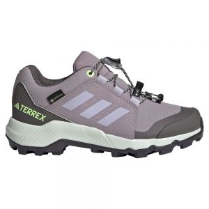 Adidas Terrex Goretex Hiking Shoes Grey