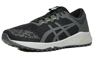 ASICS Alpine XT Mens Running Trainers T828N Sneakers Shoes (UK 10.5 US 11.5 EU 46