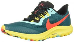 Nike Nike Air Zoom Pegasus 36 Trail
