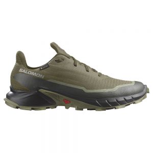 Salomon Alphacross 5 Goretex Trail Running Shoes Green Man