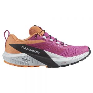 Salomon Sense Ride 5 Goretex Trail Running Shoes Multicolor Woman