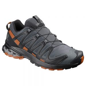 Salomon Xa Pro 3d V8 Goretex Trail Running Shoes Grey Man
