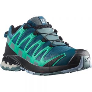 Salomon Xa Pro 3d V8 Goretex Trail Running Shoes Blue Woman
