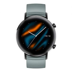 HUAWEI Watch GT 2 (42 mm) Smart Watch